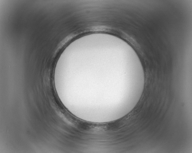 X0000078850155200612041915