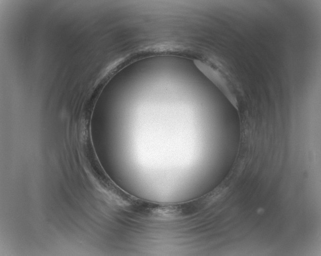 X0000078850164200612041915