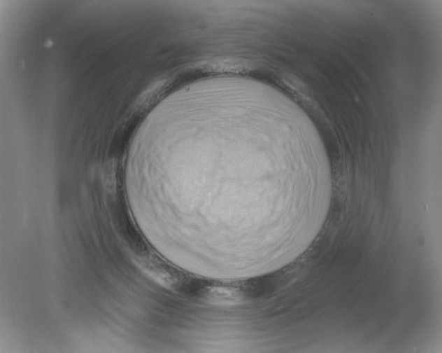 X0000078850167200612041915
