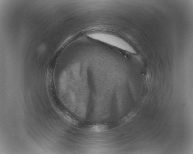 X0000078850168200612041915