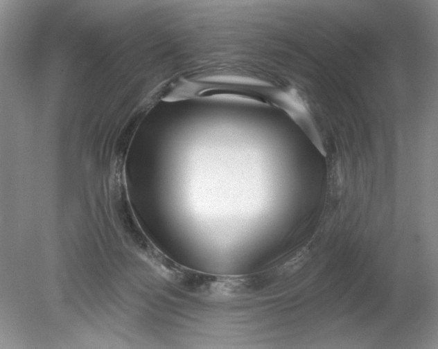 X0000078850172200612041915