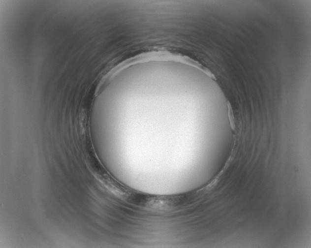 X0000078850174200612041915