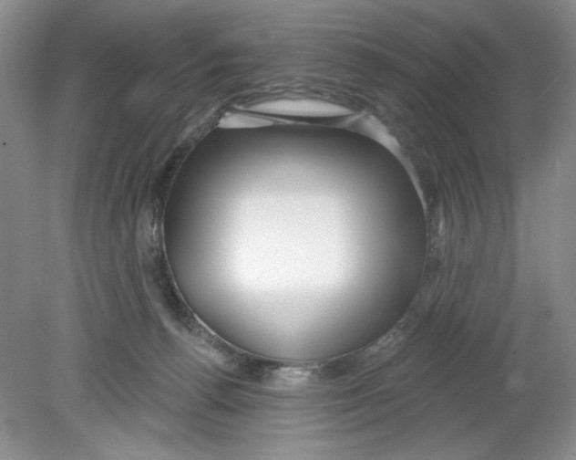 X0000078850176200612041915