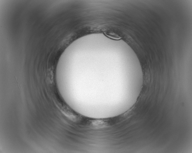 X0000078850183200612041915