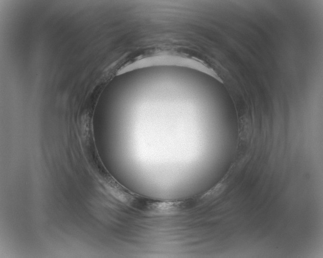 X0000078850184200612041915