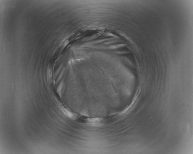 X0000078850192200612041916