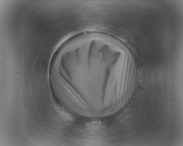 X0000078850196200612041915