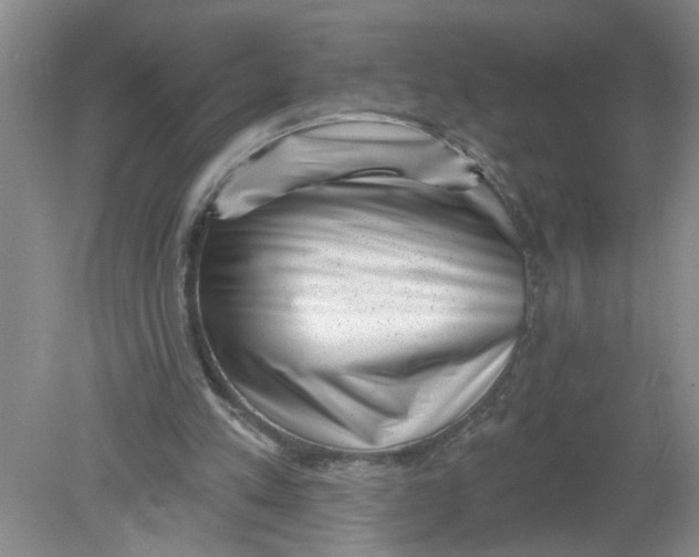 X0000078850197200612041915