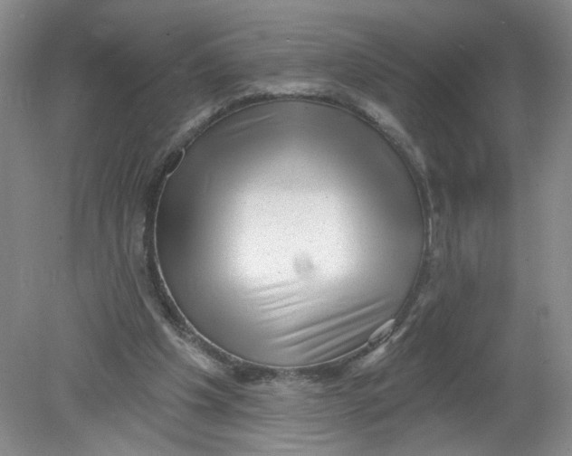 X0000078850201200612041915