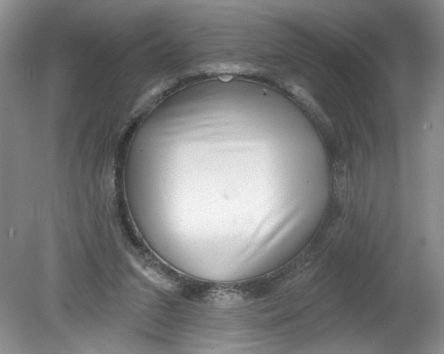 X0000078850207200612041915