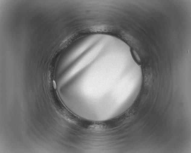 X0000078850211200612041915