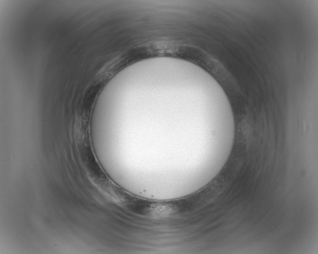 X0000078850218200612041914