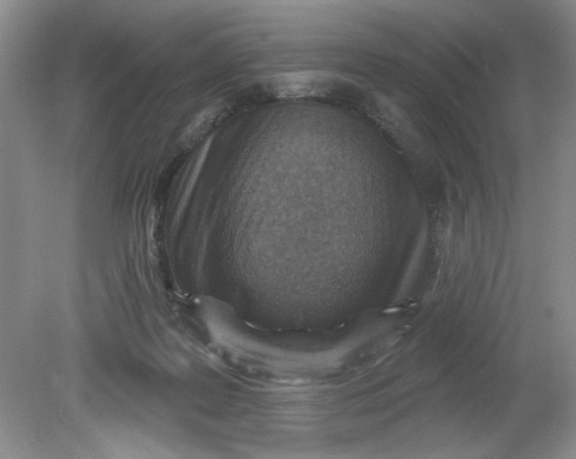 X0000078850219200612041914