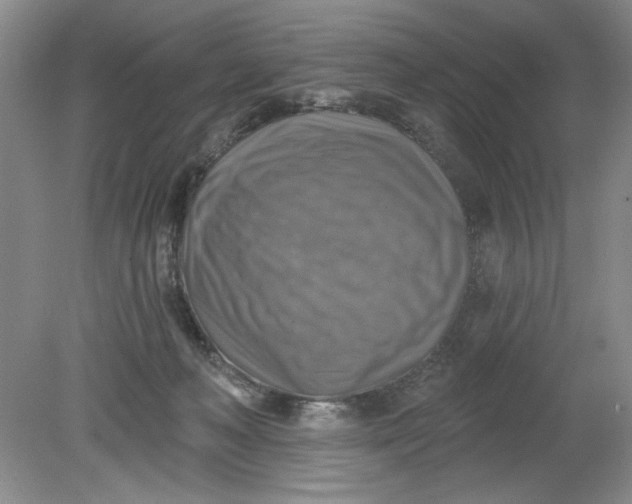 X0000078850222200612041914