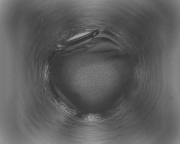 X0000078850223200612041914