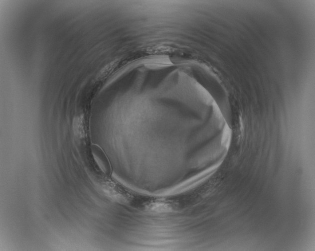 X0000078850224200612041914