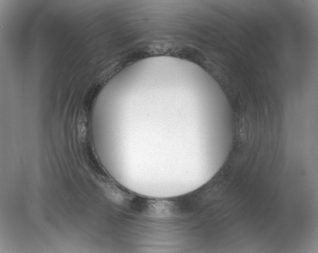 X0000078850226200612041914