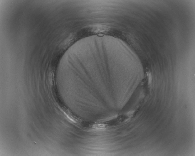 X0000078850227200612041914