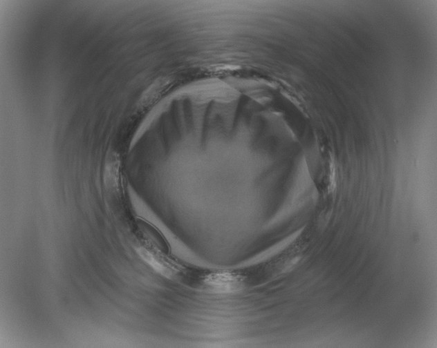 X0000078850231200612041914
