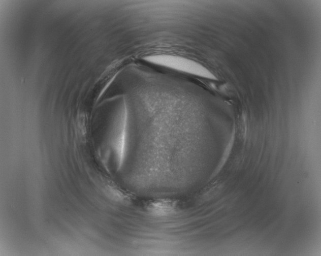 X0000078850232200612041914