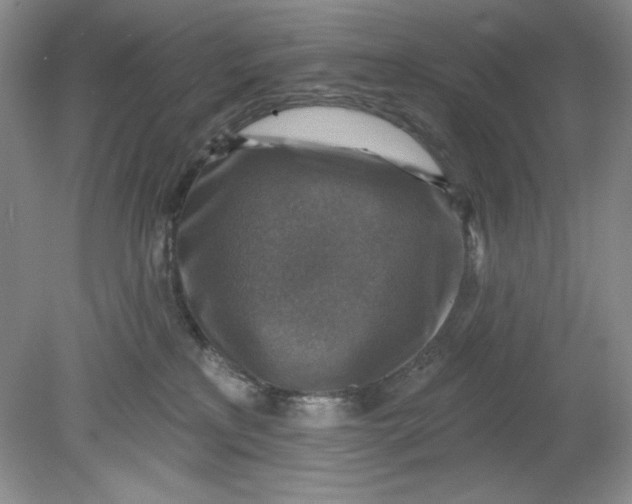 X0000078850233200612041914