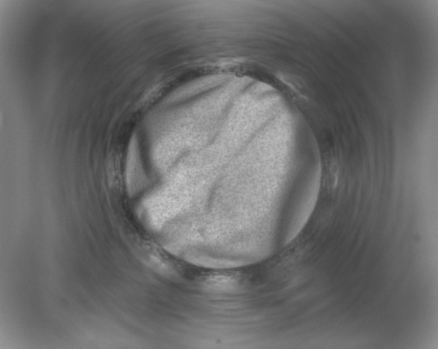 X0000078850236200612041914