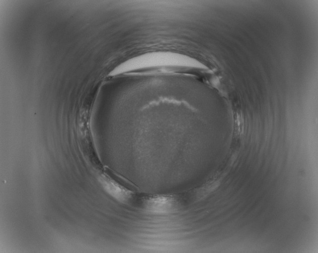 X0000078850237200612041914