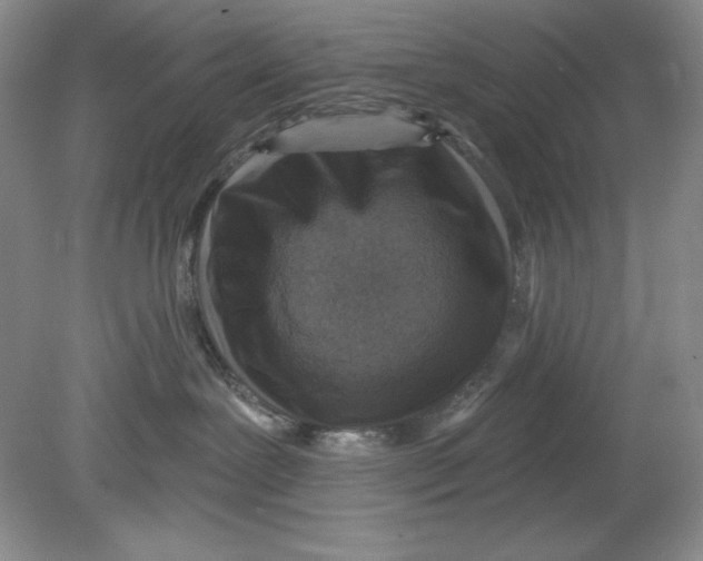 X0000078850239200612041914