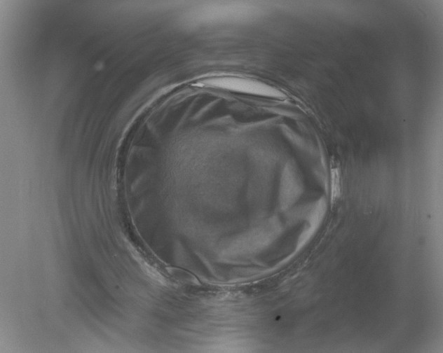 X0000078850243200612041913