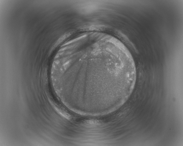 X0000078850250200612041913
