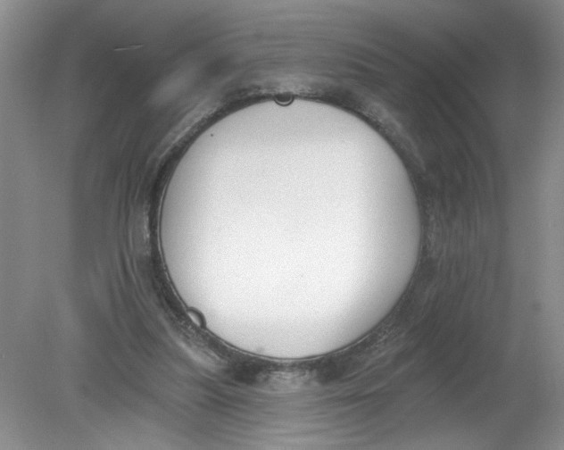 X0000078850251200612041913