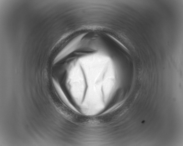 X0000078850256200612041913