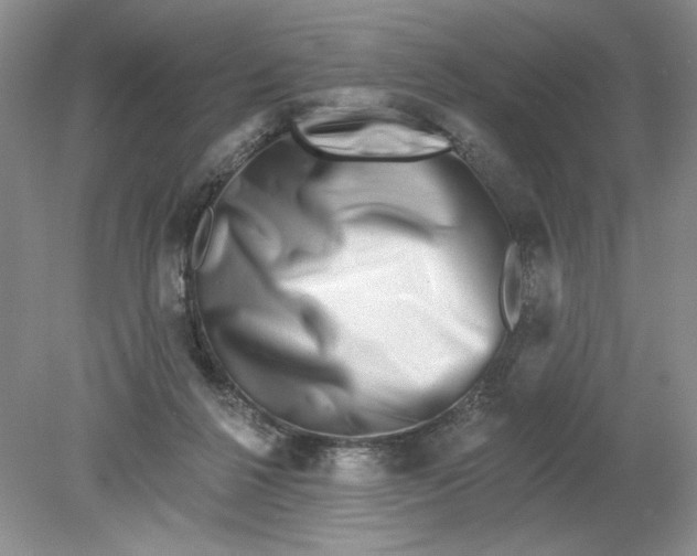 X0000078850264200612041914