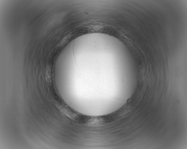 X0000078850274200612041914