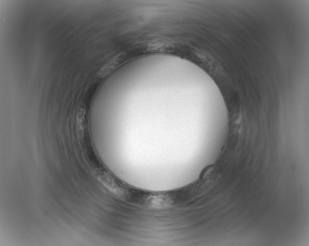 X0000078850275200612041914