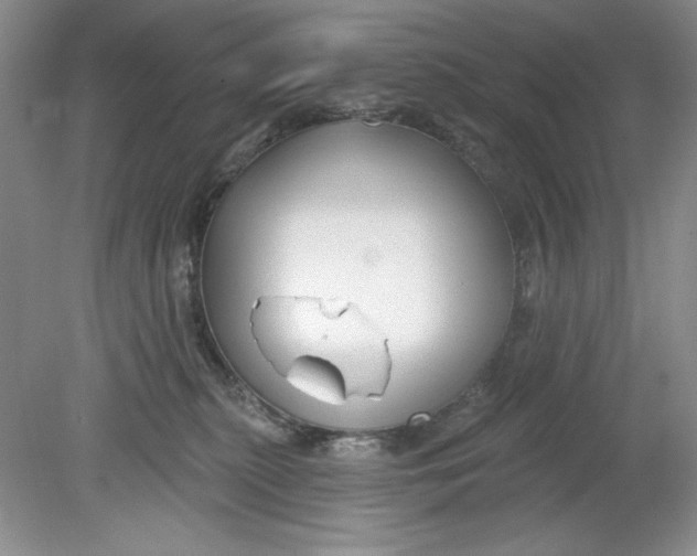 X0000078850279200612041914