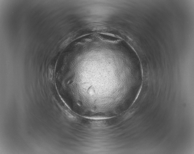 X0000078850281200612041914