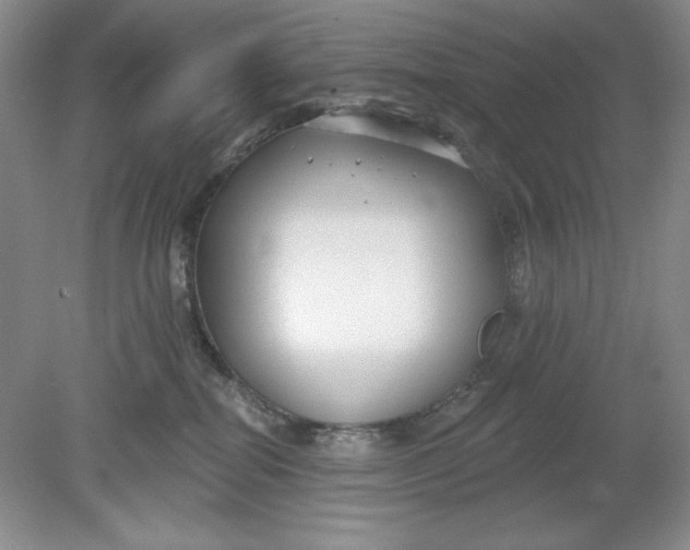 X0000078850282200612041914