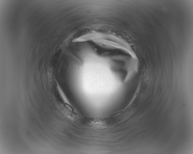X0000078850283200612041914