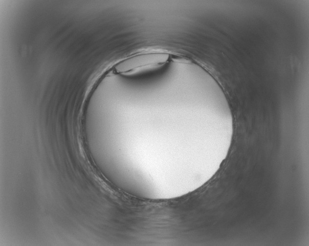 X0000078850289200612041913