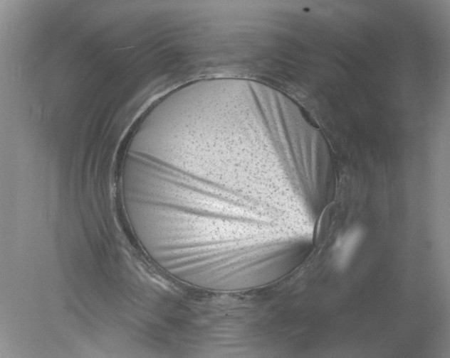 X0000078850290200612041913