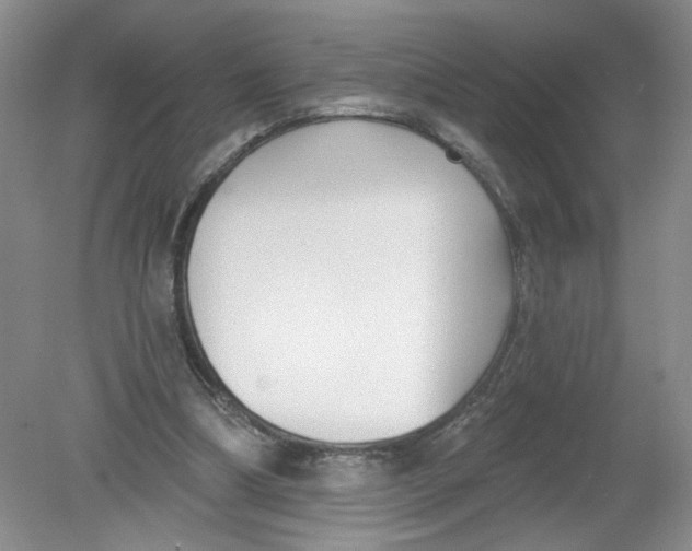 X0000078850298200612041913