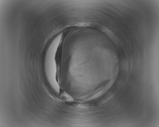 X0000078850303200612041913