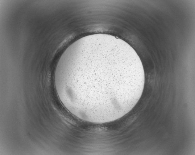 X0000078850304200612041913