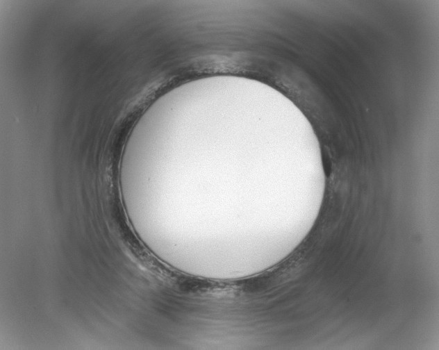 X0000078850306200612041913