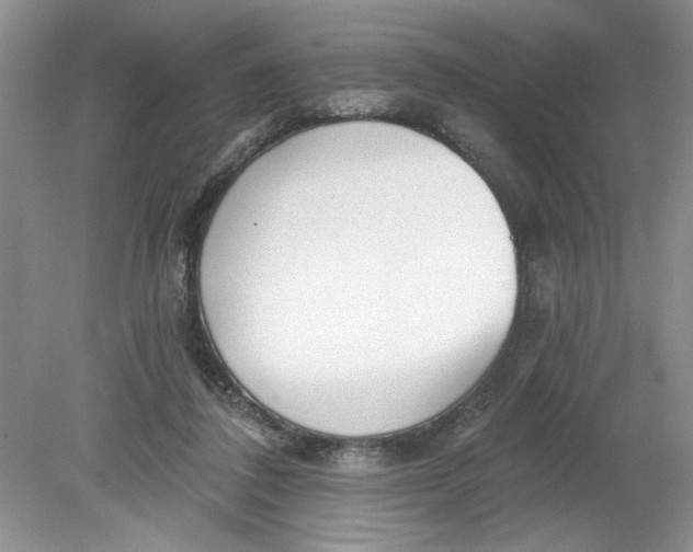 X0000078850308200612041913