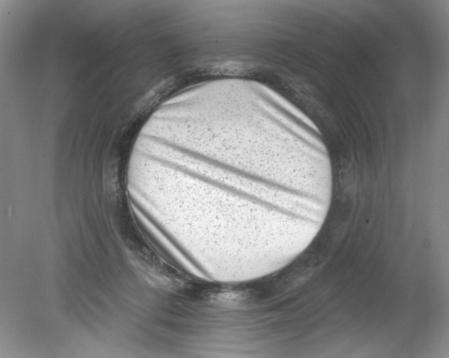 X0000078850312200612041913
