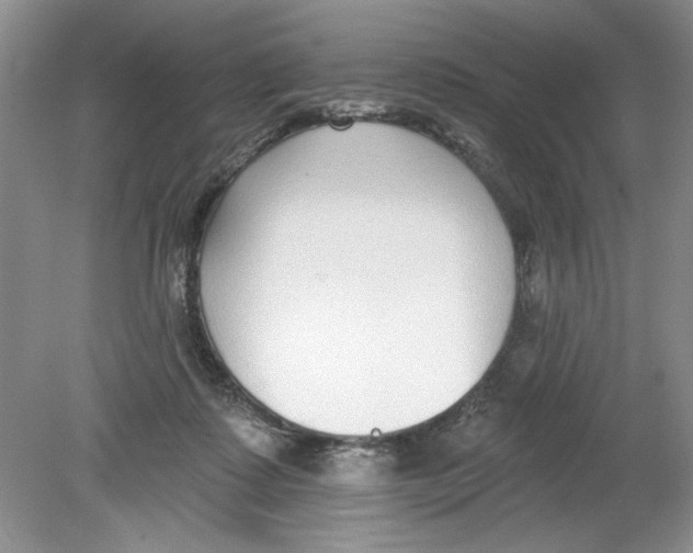 X0000078850315200612041913