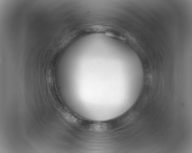 X0000078850317200612041913