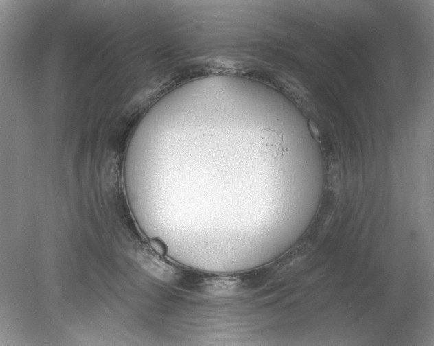 X0000078850318200612041913